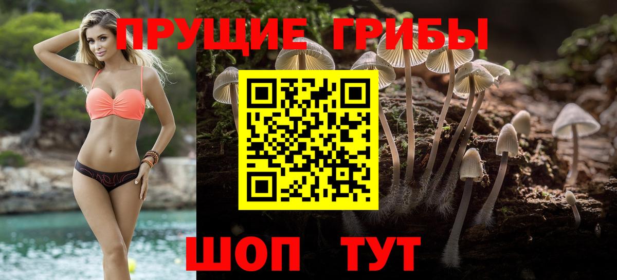 Псилоцибиновые грибы Psilocybine cubensis  Вход с VPN  Коркино 